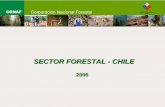 SECTOR FORESTAL - CHILE · 2014-07-10 · • Fomento Inversión - Industrialización Forestal • Transición de gestión del Estado a Privados Control de plagas e incendios forestales