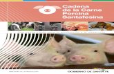 CADENA DE VALOR DE LA CARNE PORCINA SANTAFESINA · 2016-03-31 · 3 consumen 60 y 30 Kg de carne de cerdo, respectivamente, principalmente como carne fresca. En Argentina, en el último