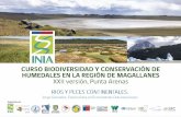 .- Provisión de agua (potable, industrias, agricultura, etc.) .- … · 2019-04-22 · Curso Biodiversidad y Conservación de Humedales, Punta Arenas, Marzo 2019 Los ecosistemas