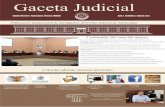 Gaceta JudicialGaceta Judicial · 2018-10-31 · de la Garza Tamez, quien hizo mención de las consideraciones generales de la imposición de la presea, así como la Magistrada Laura