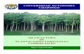 UNIVERSIDAD AUTONOMA CHAPINGOdicifo.chapingo.mx/pdf/publicaciones/silvicultura_plantaciones_fore... · desarrollarse en San Luís Potosí y Oaxaca, aunque el mayor énfasis de los