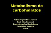 Metabolismo de carbohidratosmedicina.udea.edu.co/emd/metabolismo/carbohidratos/COH-1-2010-2.pdfEndocrinología y Metabolismo Facultad de Medicina U de A. Contenido 1. Glucólisis 2.