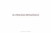 EL PROCESO PATOLÓGICOcj000528.ferozo.com/catedrapatologia/elprocesopatologico... · 2015-08-21 · edifiio → ojeto mecanicas fisicas quimicas morfologicas proceso patologico estudio