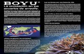 Como podremos suponer, las corrientes en los arrecifes juegan … circulacion.pdf · 2016-11-22 · Las corrientes son una fuente de vida Como podremos suponer, las corrientes en