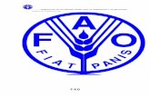 DEPARTAMENTO DE TRANSPORTEparlamentarioscontraelhambre.org/file/frentes/pry/py_0… · Web viewDe allí la importancia del apoyo técnico de la FAO a los FPH para intercambio de experiencias.