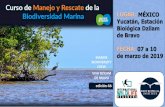 LUGAR: MÉXICO Yucatán, Estación Biológica Dzilam de Bravo … · 2019-01-28 · RAÚL DÍAZ GAMBOA [México] Doctor en Ciencias Marinas. Profesor - Investigador del Departamento
