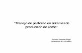 “Manejo de pastoreo en sistemas de producción de Leche”praderasypasturas.com/files/menu/catedras/produccion_de... · 2013-06-25 · “Manejo de pastoreo en sistemas de ... producción