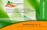 Curso de Formación Especializada en Biogás para Profesionales4echile.cl/4echile/wp-content/uploads/2017/11/Biogas... · 2019-06-28 · Tipos de biodigestores más comunes y presentes