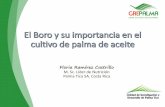 Floria Ramírez Castrillo M. Sc. Líder de Nutrición Palma Tica SA. … · 2018-11-16 · • Utilizar distintas fuentes acorde con la época del año • El B no tiene movimiento