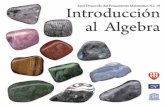Matemáticas, Álgebra - Clea · Introducción al Algebra Federación Internacional Fe y Alegría, Julio 2007 32 p.; 21,5 x 19 cm. ISBN: 978-980-6418-96-7 Matemáticas, Álgebra.