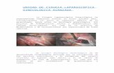  · Web viewLa Cirugía Laparoscópica Ginecológica ha experimentado numerosos avances en estos últimos años, introduciéndose con éxito en numerosos ámbitos de la ginecología,