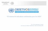 El sistema de indicadores ambientales para los ODS€¦ · “El sistema de indicadores ambientales para los ODS” AGENDA 2030 “ ... Datos, vigilancia y rendición de cuentas “17.18