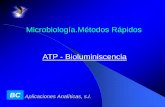 Microbiología.Métodos Rápidos ATP - Bioluminiscenciajornades.uab.cat/workshopmrama/sites/jornades.uab... · se emplean los luminómetros ... ⚫Integran la señal (pulsos) durante