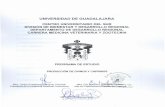 CENTRO UNIVERSITARIO DEL SUR DIVISiÓN DE BIENESTAR Y …pregrado.udg.mx/sites/default/files/unidadesAprendizaje/... · 2018-05-02 · Veterinaria desde septiembre de 2007B en el
