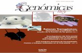 Ratones Transgénicos - Universidad Autónoma de …4 los ratones transgénicos en el estudio de enfermeda-des humanas, de las cuales se desconocen los genes responsables, en 2007