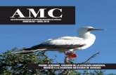boletín informativo de la academia mexicana de ciencias número … · 2018-03-23 · índice Editorial Noticias de la AMC Pionero en el mundo en ecología numérica ingresó como