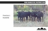 Francisco J. Escalantefz.uach.mx/util/2018/03/05/1. Rancho La Pelea y La... · 2018-03-05 · Todas las crías que se desahíjan se van fuera del rancho a los corrales de pre acondicionamiento