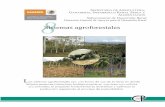 Sistemas agroforestales - CATIEagronegocios.catie.ac.cr/images/pdf/Sistemas Agroforestales.pdf · Se llaman cercas vivas a las plantaciones en líneas de árboles y arbustos en los