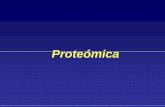 Genoma -> Transcriptoma ->Proteoma - UMHsici.umh.es/teaching/doctorate/Functional_Genomics_and... · 2007-02-13 · •Técnica muy laboriosa: requiere mucho tiempo (2 días)