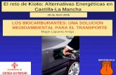El reto de Kioto: Alternativas Energéticas en Castilla-La Manchaantoinebret.free.fr/Energias/Biocarburantes_UCLM_2005.pdf · 2017-10-06 · El reto de Kioto: Alternativas Energéticas