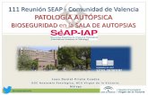 111 Reunión SEAP - Comunidad de Valencia PATOLOGÍA …sovapat.org/xativa4/Bioseguridad/Bioseguridad.pdf · 2018-11-10 · Tres pilares en bioseguridad de autopsias… Sala de Autopsias.