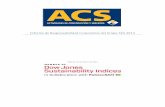Informe de Responsabilidad Corporativa del Grupo ACS 2013 · Estrategia corporativa El Grupo ACS 1 es una referencia mundial en la industria del desarrollo de infraestructuras, que