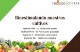 Bioestimulando nuestros cultivos Bioestimulando nuestros... · •El mercado global de bioestimulantes ... del metabolismo de las plantas, hongos, bacterias, micorrizas, etc. •Su