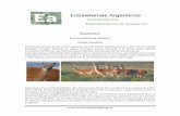 Guanaco - Ecosistemas Argentinosecosistemasarg.org.ar/wp-content/uploads/2017/12/EA...El guanaco es una de las cuatro especies de camélidos sudamericanos, junto con la vicuña (Vicugna