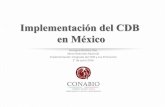 Implementación del CDB en México€¦ · ecosistemas vulnerables B. PRESIONES DIRECTAS META 11. Áreas protegidas META 12. Especies amenazadas META 13. Diversidad genética C. CONSERVACIÓN