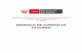 MODULO DE CONSULTA EXTERNA - Red de salud huaylas surredhuaylassur.gob.pe/.../2019/08/CONSULTA-EXTERNA-V2.pdf · 2019-08-12 · Módulo Consulta Externa 4 I. INICIO DE CONSULTA EXTERNA