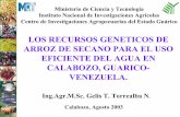 Presentación de PowerPointciat-library.ciat.cgiar.org/Articulos_Ciat/arroz/g_torrealba.pdf · Centro de Investigaciones Agropecuarias del Estado Guárico LOS RECURSOS GENETICOS DE