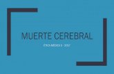 MUERTE CEREBRAL - WordPress.com · 2017-11-24 · Se funda en: Muerte Encefálica El concepto “Cese completo e irreversible de toda función encefálica como totalidad, incluyendo