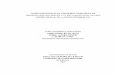repositorio.unisucre.edu.co C257.pdf · Universidad de la Laguna. Madrid. 1992. BRAVO Valdivieso Luís, Lenguaje y Dislexia-Enfoque Cognitivo de Retardo Lector, 2003, Chile. Pág.