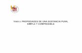 TEMA 3. PROPIEDADES DE UNA SUSTANCIA PURA, SIMPLE Y ...umh1788.edu.umh.es/wp-content/uploads/sites/239/2013/02/Tema-3-Propiedades-BN.pdfEl estudiante distinguirá las características