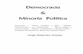 Democracia Minoría Política - Colegio de Abogados …...democracia como constitucional, es decir como el gobierno de la mayoría, pero de una mayoría limitada por los derechos individuales