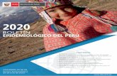 BOLETÍN EPIDEMIOLÓGICO DEL PERÚ · 2020-03-11 · 98 Boletín Epidemiológico del Perú SE 04-2020 (del 19 al 25 de enero del 2020) Med. Raúl Navarro Figueroa Grupo de Trabajo