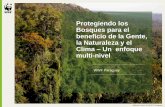Protegiendo los Bosques para el beneficio de la Gente, la ...awsassets.panda.org/downloads/l_aquino...Pantanal en Paraguay • Se encuentra en Paraguay, Brasil y Bolivia • Uno de