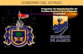 GOBIERNO DEL ESTADO - Jaliscoseplan.app.jalisco.gob.mx/files2/material_consulta/3... · 2020-02-26 · Depto. del Archivo Histórico Agrario . Organigrama del Programa de Regularización