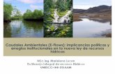 Caudales Ambientales (E-Flows): implicancias políticas y arreglos … · 2012-06-05 · caudales ecológicos en la nueva ley de recursos hídricos. Delinear conclusiones y recomendaciones