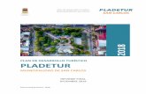 PLAN DE DESARROLLO TURÍSTICO PLADETUR · Plan de Desarrollo Turístico Municipalidad de San Carlos Informe final Diciembre– 2018 7 indirectos y, en las últimas décadas, ha presentado