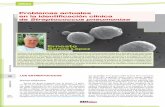 Ernesto García López - SEM Microbiología...lisinas solubles (como la estreptolisina L de Streptococcus pyogenes), la α-hemolisis es el resultado de la formación de metahemoglobina