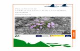 Plan de Gestión de - Castilla-La Mancha...proyecto cofinanciado por: fondo europeo agrÍcola de desarrollo rural (feader): europa invierte en las zonas rurales. gobierno de espaÑa.