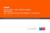 Estudio de Mercado AVENA - EAUstatic.elmercurio.cl/Documentos/Campo/2017/08/14/20170814113655.pdf · Posibles estrategias de penetración, prospección o mantención del mercado.