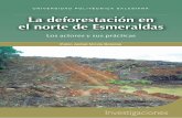 La deforestación en el norte de Esmeraldas Los actores y sus … · 2014-01-24 · este es el aparecimiento de la violencia, el despojo, la fragilización de los medios de vida de
