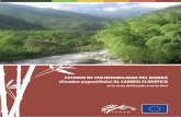 ESTUDIO DE VULNERABILIDAD DEL BAMBÚ (Guadua angustifolia) … · 2015-12-10 · ESTUDIO DE VULNERABILIDAD DEL BAMBÚ (Guadua angustifolia) AL CAMBIO CLIMÁTICO en la costa del Ecuador