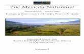 The Mexican Naturalist - UNAM...estudios con otras especies de Acacia (i.e., A. cornigera) en donde se comprueba el valor nutritivo de los cuerpos de Belt y su potencial influencia