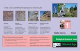 Guía para la identificación de rocas en este circuitoGuía para la identificación de rocas en este circuito Areniscas Roca sedimentaria formada por la ... Rocas sedimentarias que