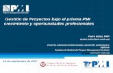 Gestión de Proyectos bajo el prisma PMI crecimiento y … · 2017-09-27 · Gestión de Proyectos bajo el prisma PMI crecimiento y oportunidades profesionales 14 de septiembre de