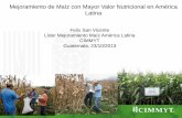 Mejoramiento de Maíz con Mayor Valor Nutricional en América …lac.harvestplus.org/wp-content/uploads/2015/02/Mejoram... · 2016-09-13 · Mejoramiento de Maíz con Mayor Valor