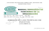 ANEXOS DE LOS PERFILES DE PUESTOScobaqroo.edu.mx/Libros/MANUALES/MANUAL ESPECIFICO DE... · 2017-02-07 · COLEGIO DE BACHILLERES DEL ESTADO DE QUINTANA ROO DIRECCION GENERAL DIRECCION